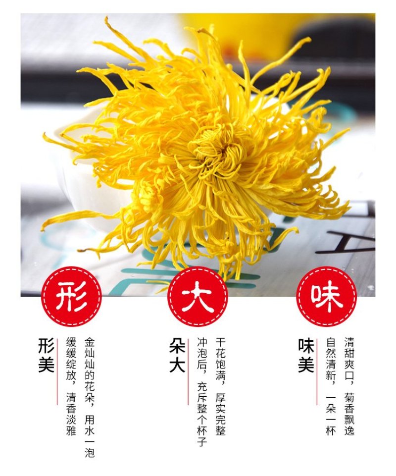 菊花茶金丝皇菊黄菊一朵一杯花茶大菊花茶贡菊搭枸杞茶叶
