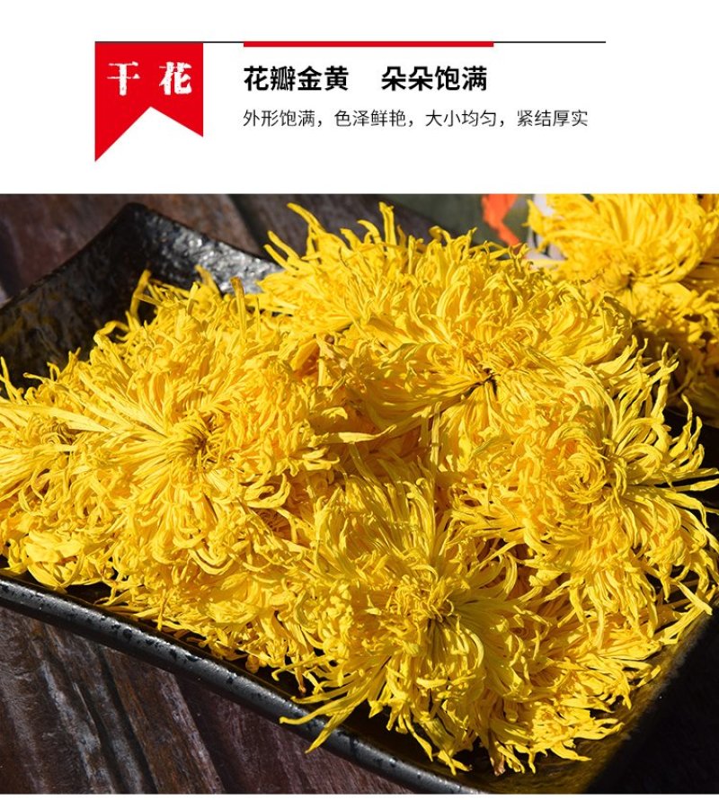 菊花茶金丝皇菊黄菊一朵一杯花茶大菊花茶贡菊搭枸杞茶叶