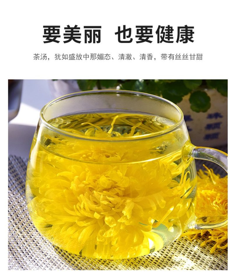 菊花茶金丝皇菊黄菊一朵一杯花茶大菊花茶贡菊搭枸杞茶叶