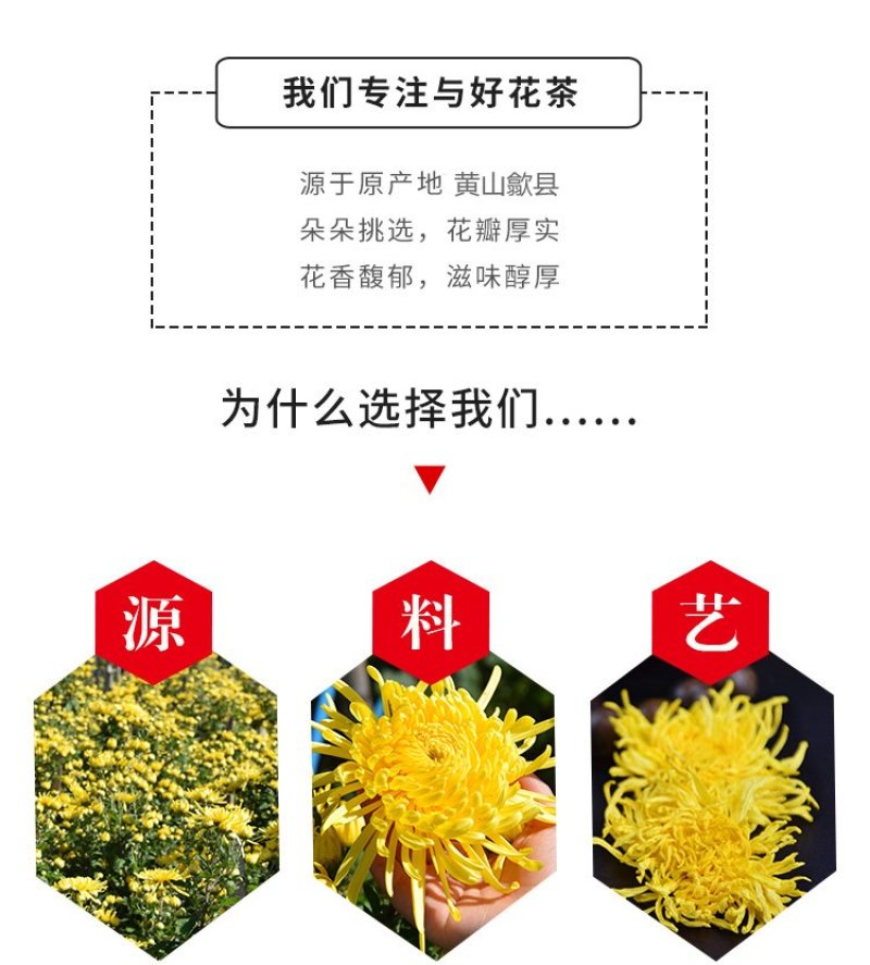 菊花茶金丝皇菊黄菊一朵一杯花茶大菊花茶贡菊搭枸杞茶叶