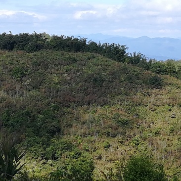 山地出租167亩