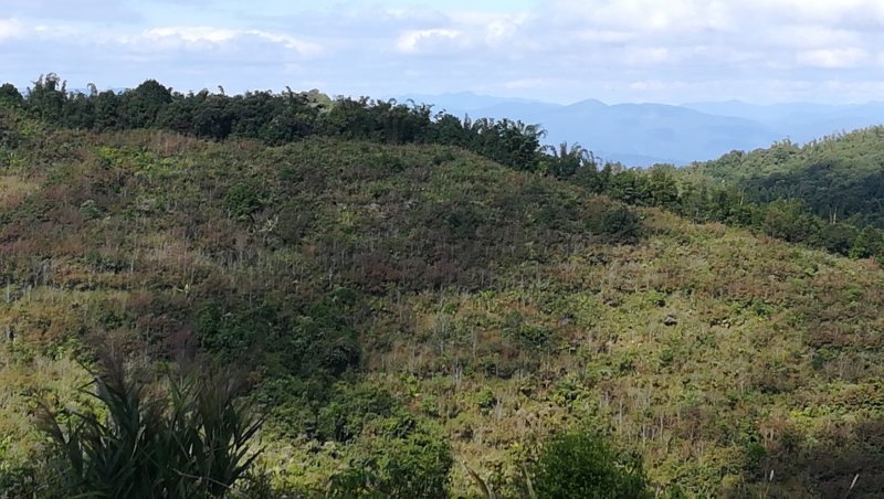 山地出租167亩