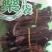 水蛭