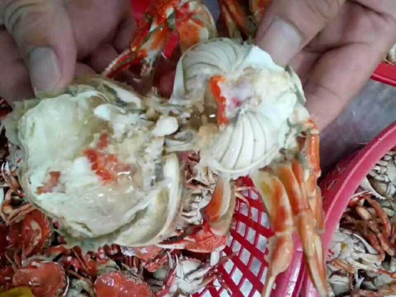 发财蟹（礼盒装）