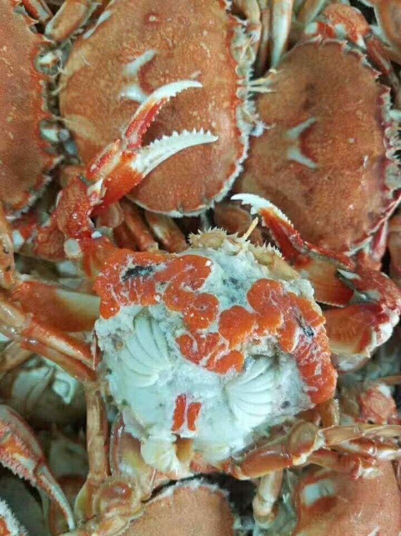发财蟹（礼盒装）