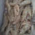 冷冻对虾