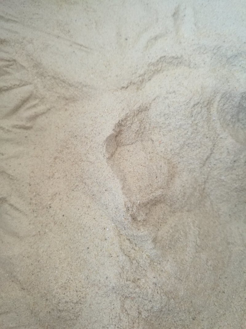 虾粉