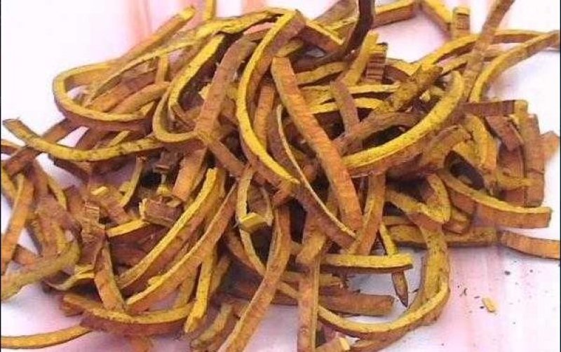 黄柏皮