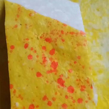荆州特产，钝手工草鱼鱼糕，我们的草鱼是现杀现做的