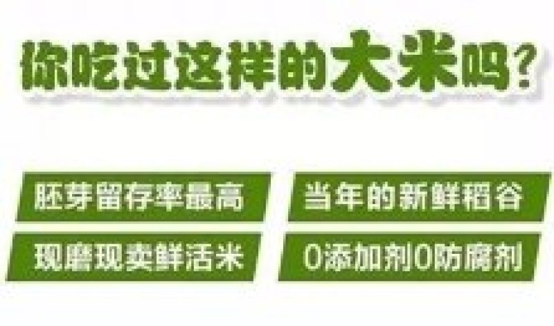 东北大米稻花香胚芽米，现磨鲜活大米带胚芽的营养米