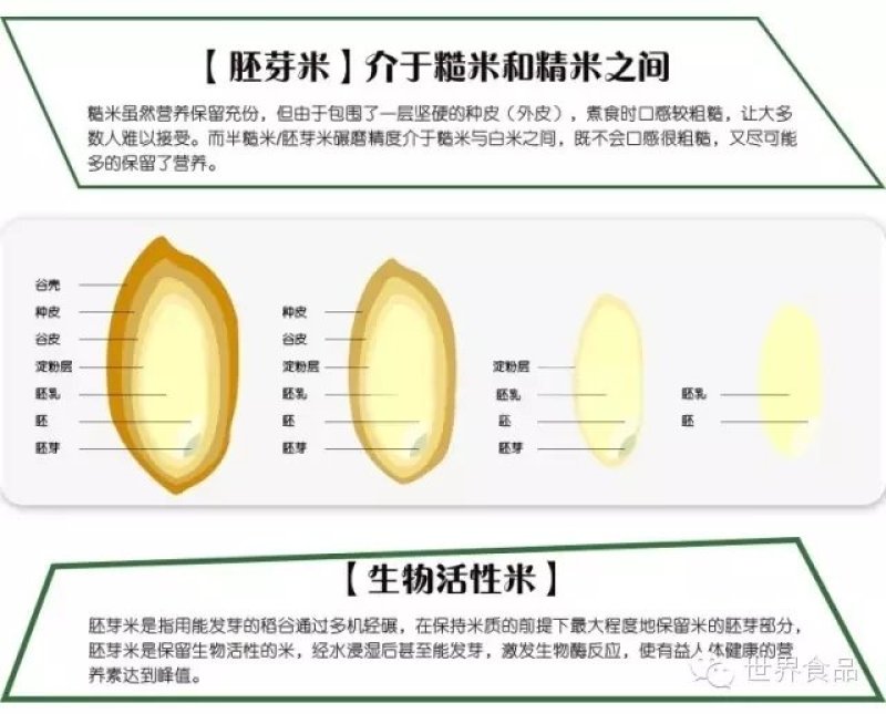 东北大米稻花香胚芽米，现磨鲜活大米带胚芽的营养米
