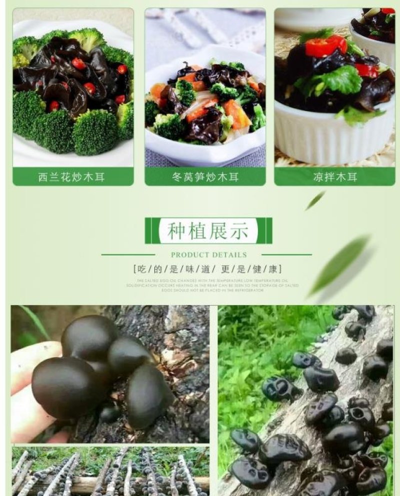 东北纯椴木黑木耳伊春山特产