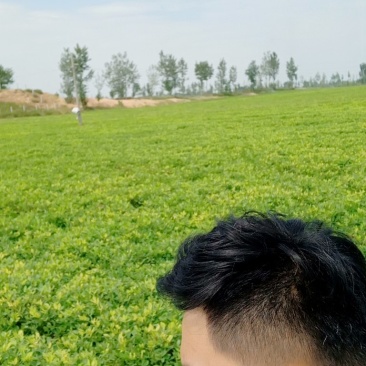 有土地证的个人土地