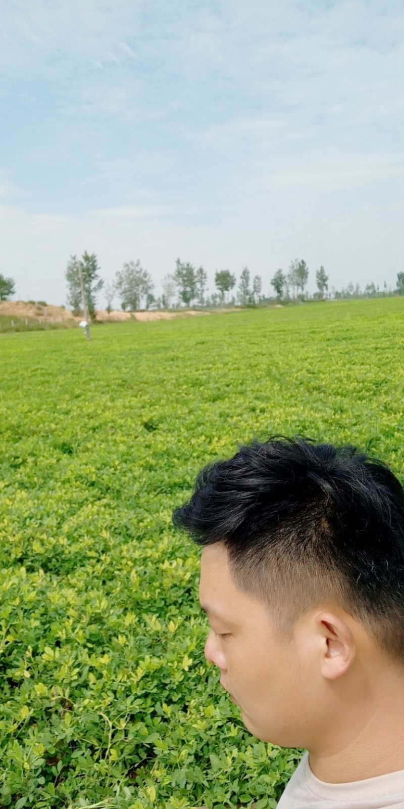 有土地证的个人土地
