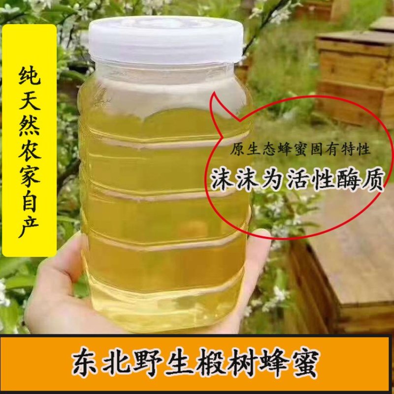 黑龙江特产伊春自产农家纯椴树土蜂蜜