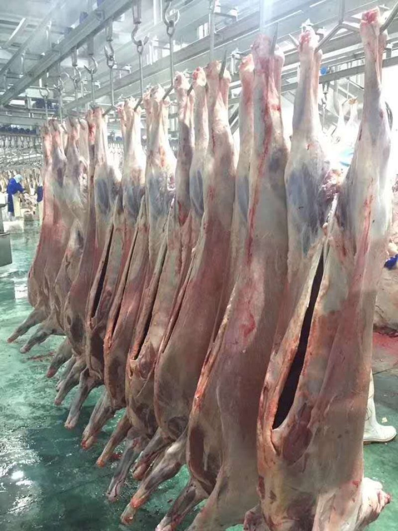 牛羊肉批发