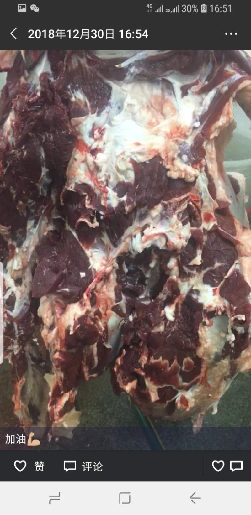 牛羊肉批发