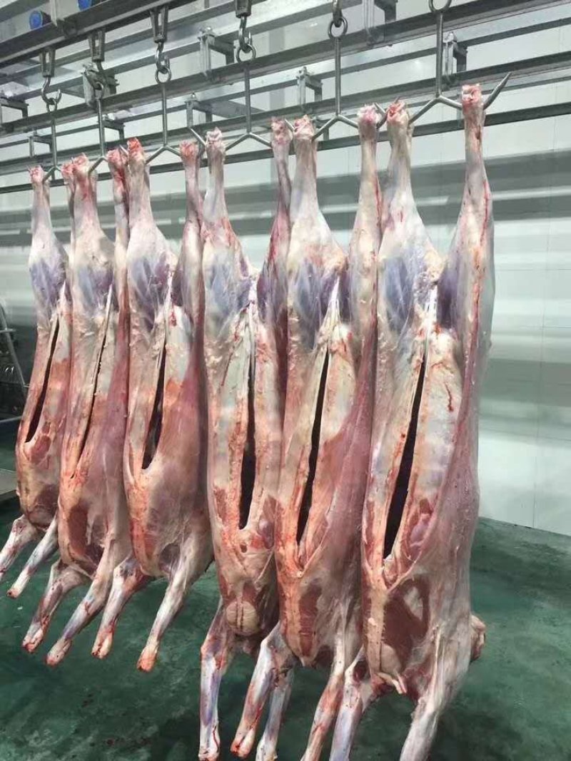 牛羊肉批发