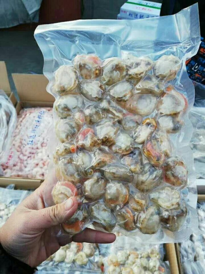 单冻鱿鱼