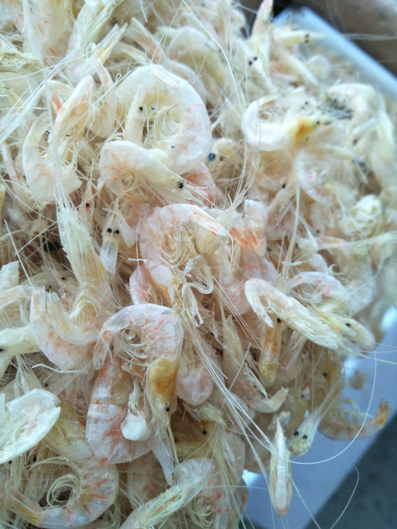 烤干无盐蹦蹦虾。