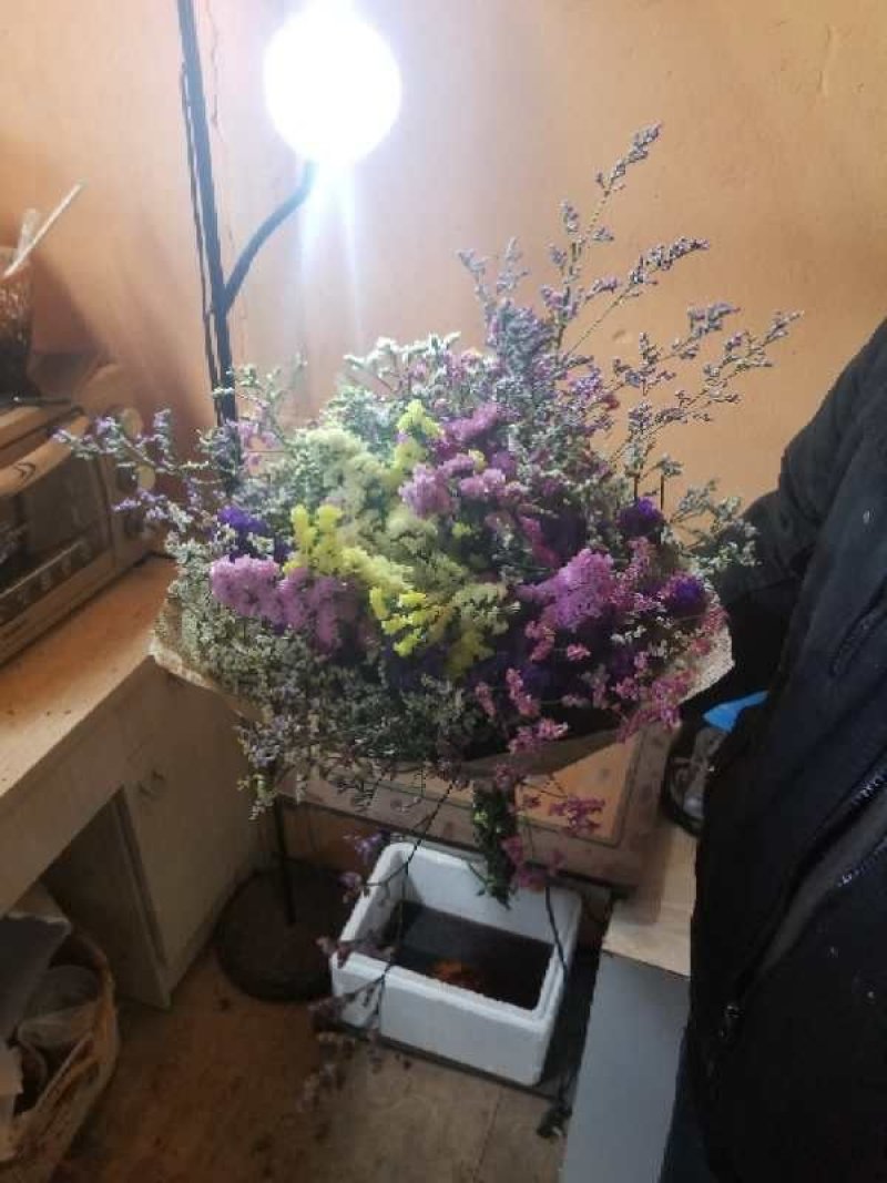 干花（真花）有招代理，招合作，平台对接中
