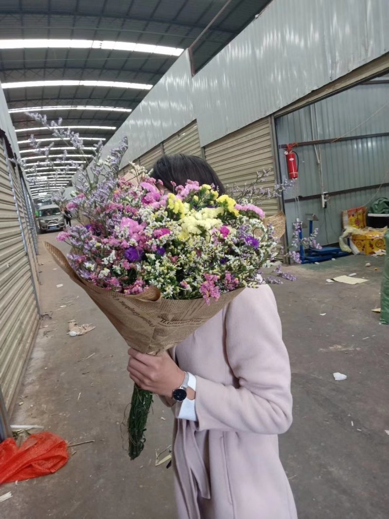 干花（真花）有招代理，招合作，平台对接中