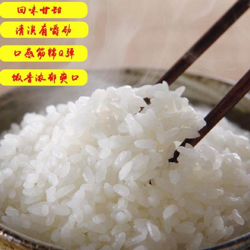 黑龙江水稻现磨鲜活米，过年送礼礼盒米，稻花香，长粒香大米