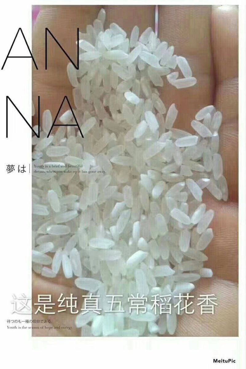 黑龙江水稻现磨鲜活米，过年送礼礼盒米，稻花香，长粒香大米