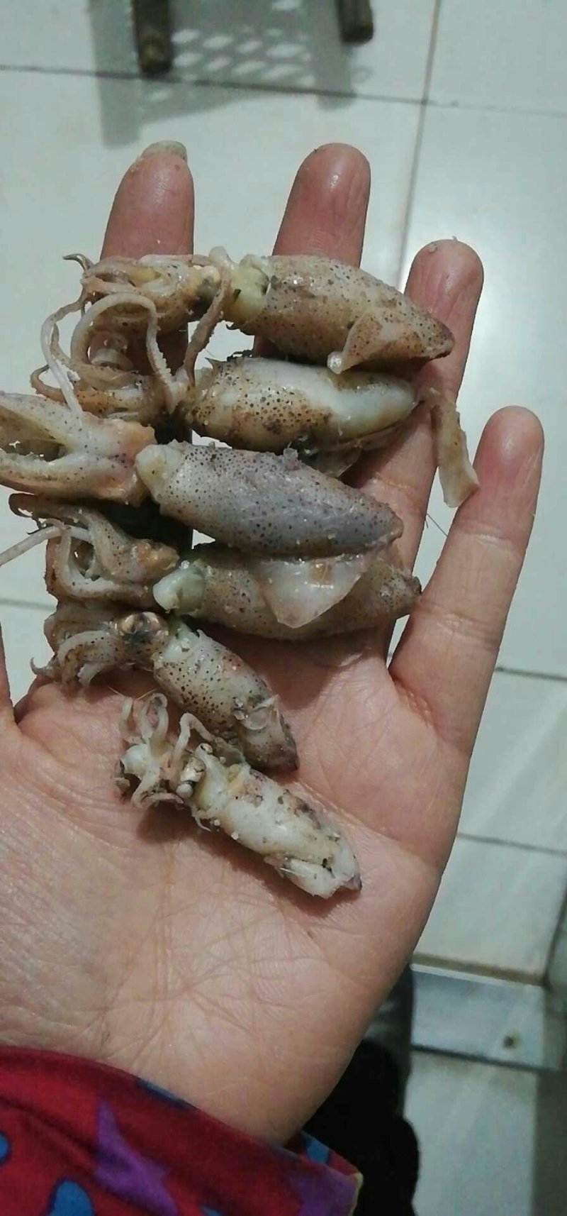 送礼首选倍有面。