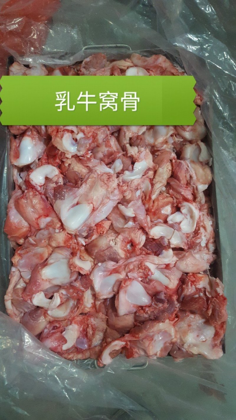 国产分割小牛，乳牛产品