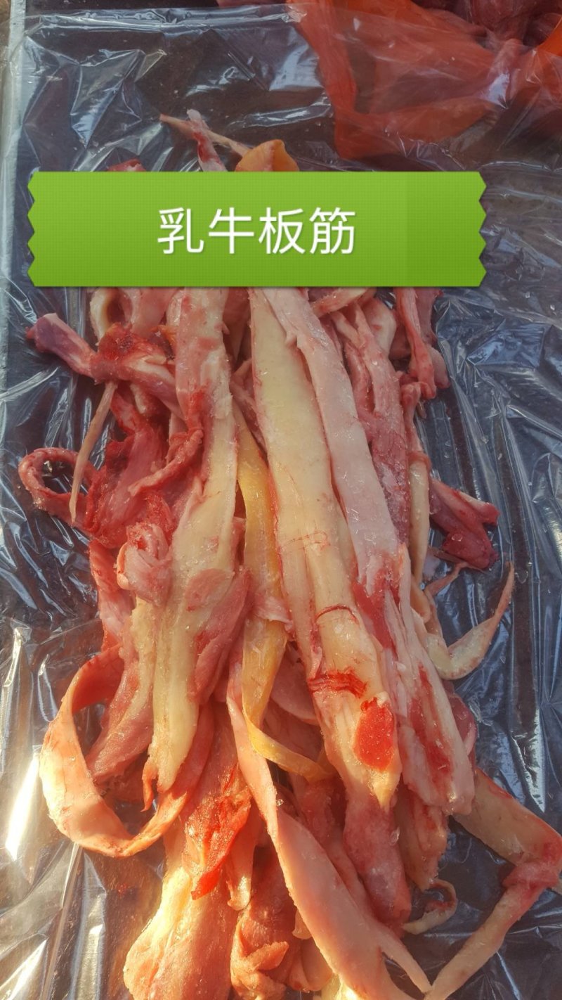 国产分割小牛，乳牛产品
