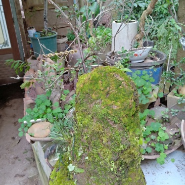 金弹子下山桩