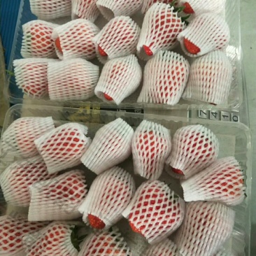 奶油草莓🍓，一件代发！