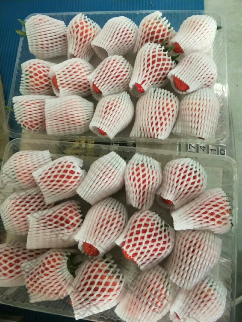 奶油草莓🍓，一件代发！