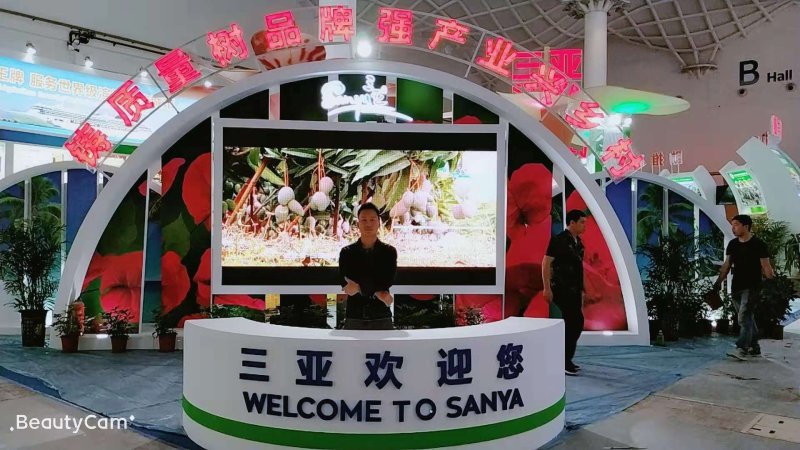 海南树熟金煌芒果一级八斤净果