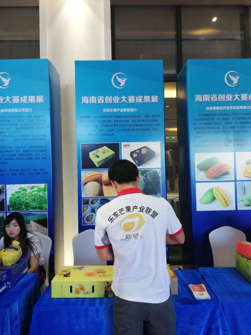 海南树熟金煌芒果一级八斤净果