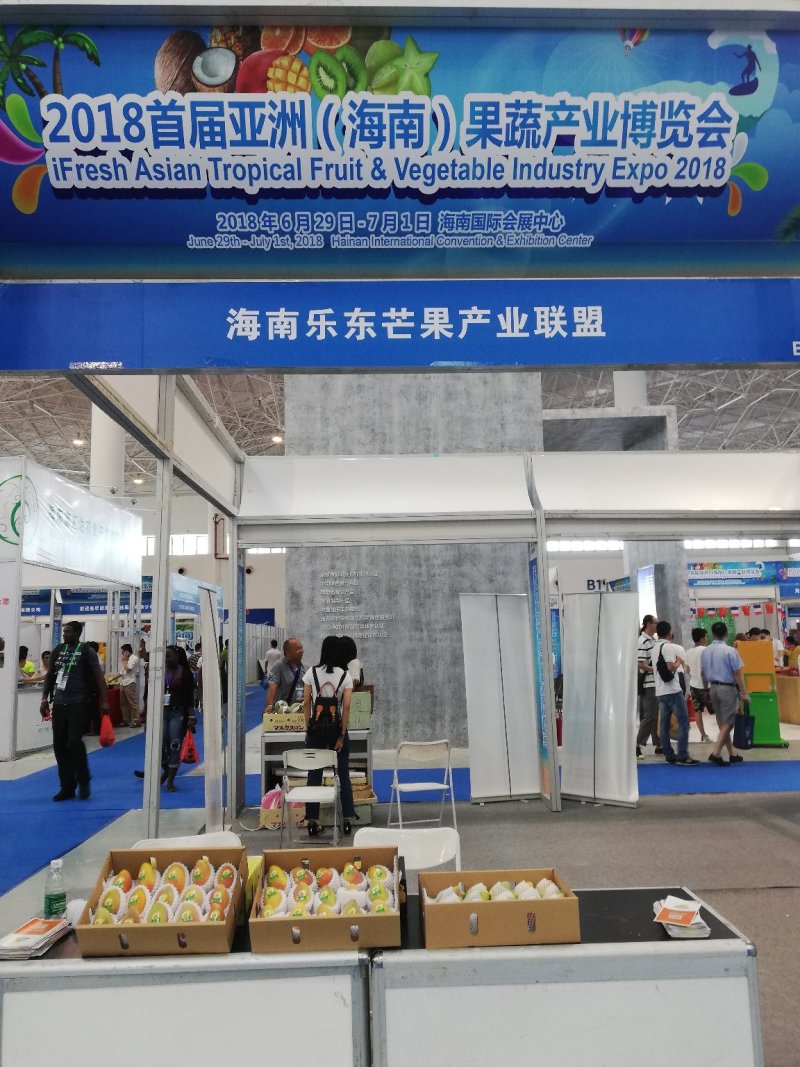 海南树熟金煌芒果一级八斤净果
