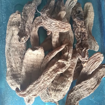 一级干天麻，半野生药食两用药材