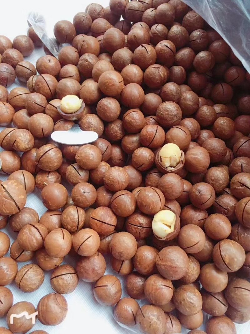夏威夷果