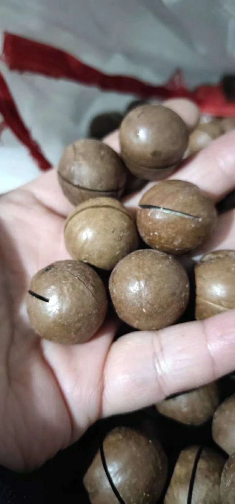 夏威夷果
