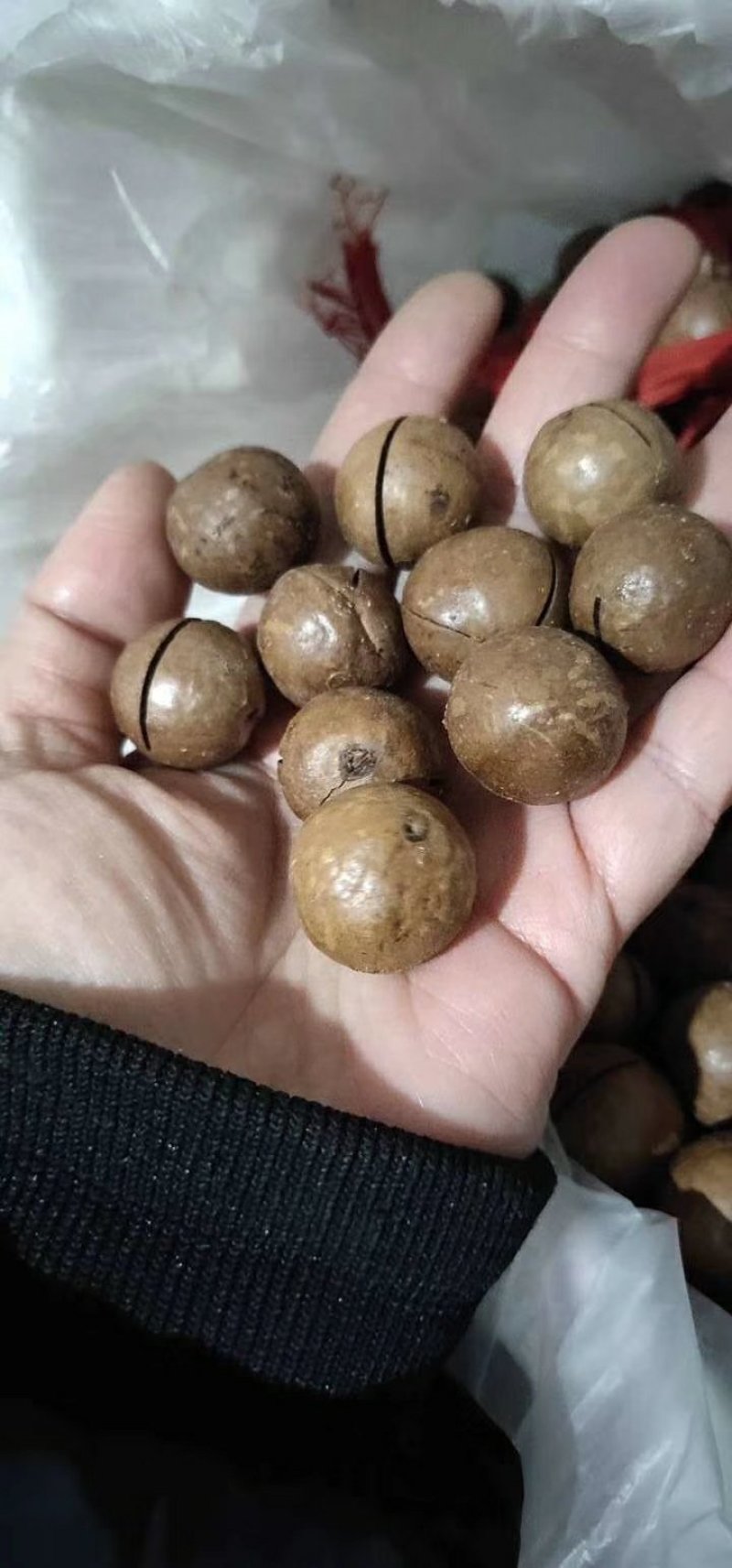 夏威夷果