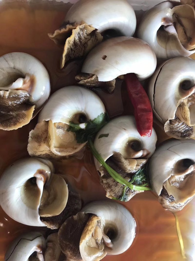 香螺酱香螺真空包装开袋即食