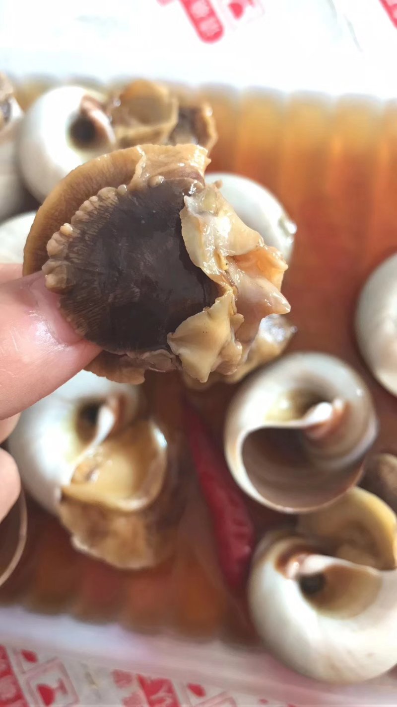 香螺酱香螺真空包装开袋即食