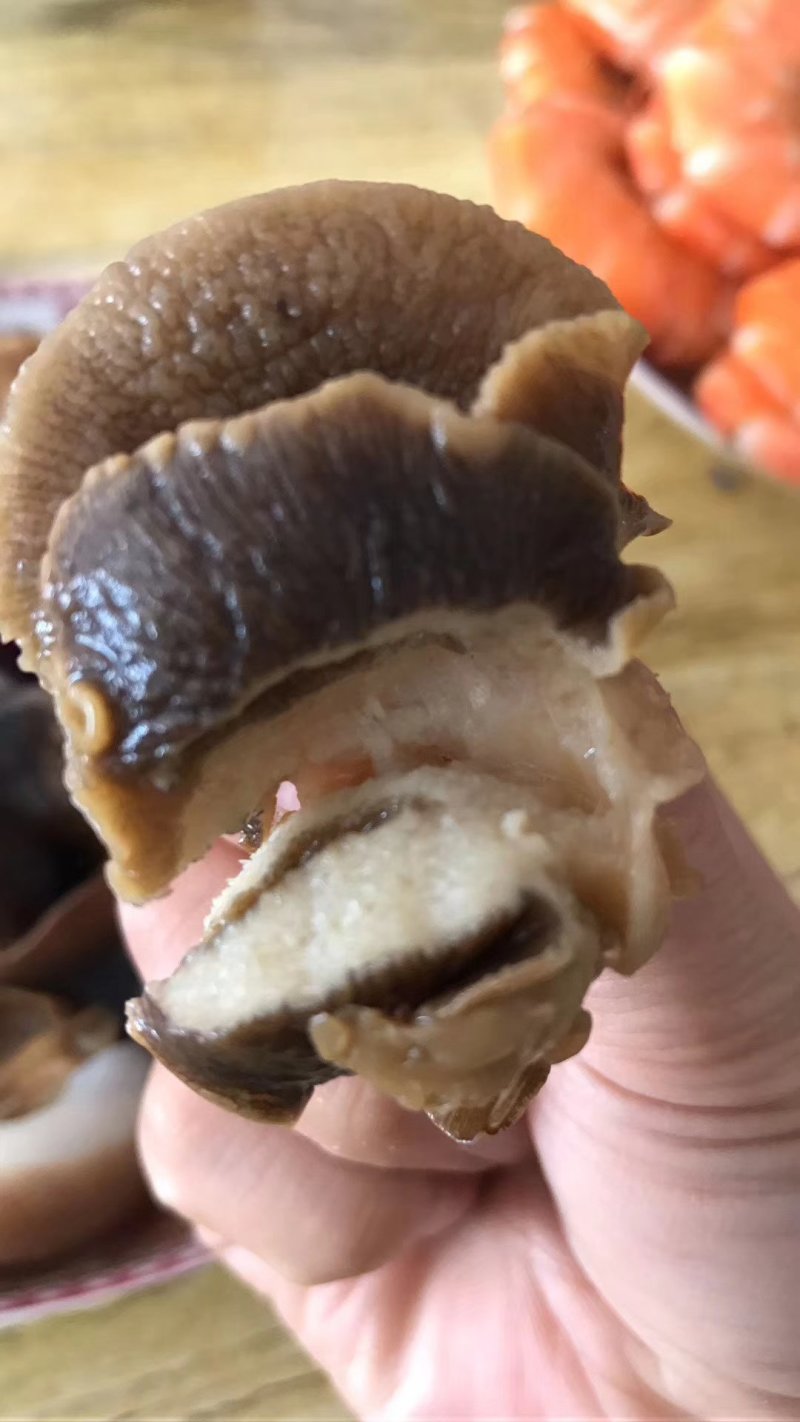 香螺酱香螺真空包装开袋即食