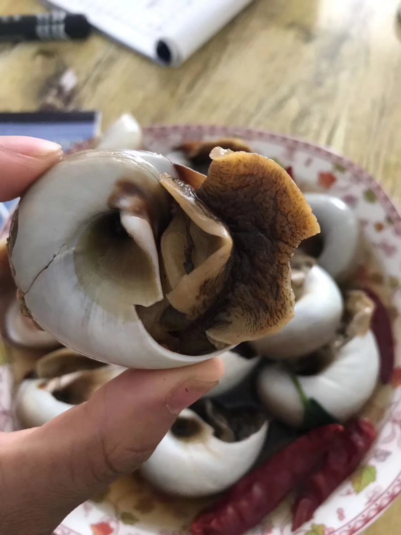 香螺酱香螺真空包装开袋即食