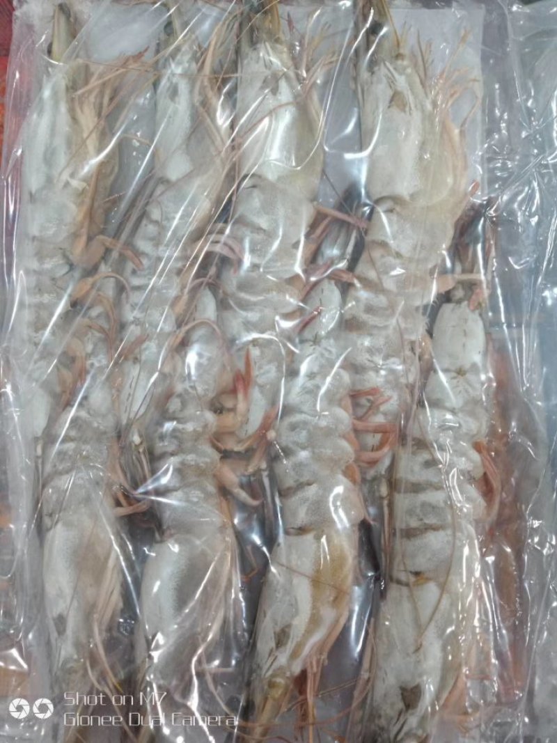对虾青虾东方虾