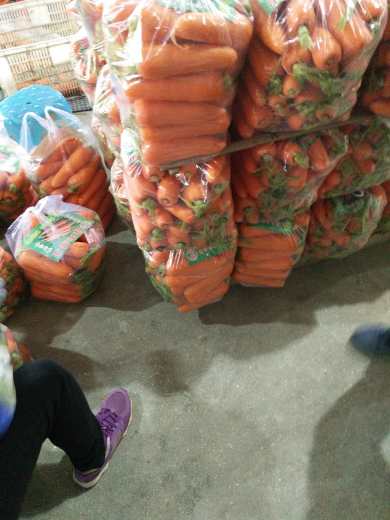 福建漳浦沙地胡萝卜，质量保证诚信经营，有各种包装