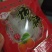 柿饼秒杀活动开始