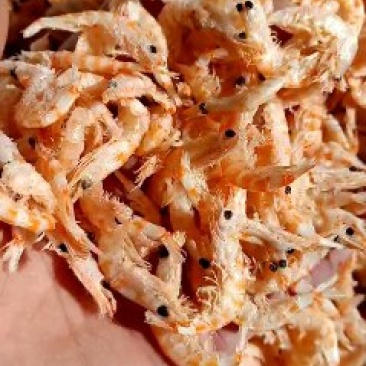 大号南极磷虾干一箱10斤