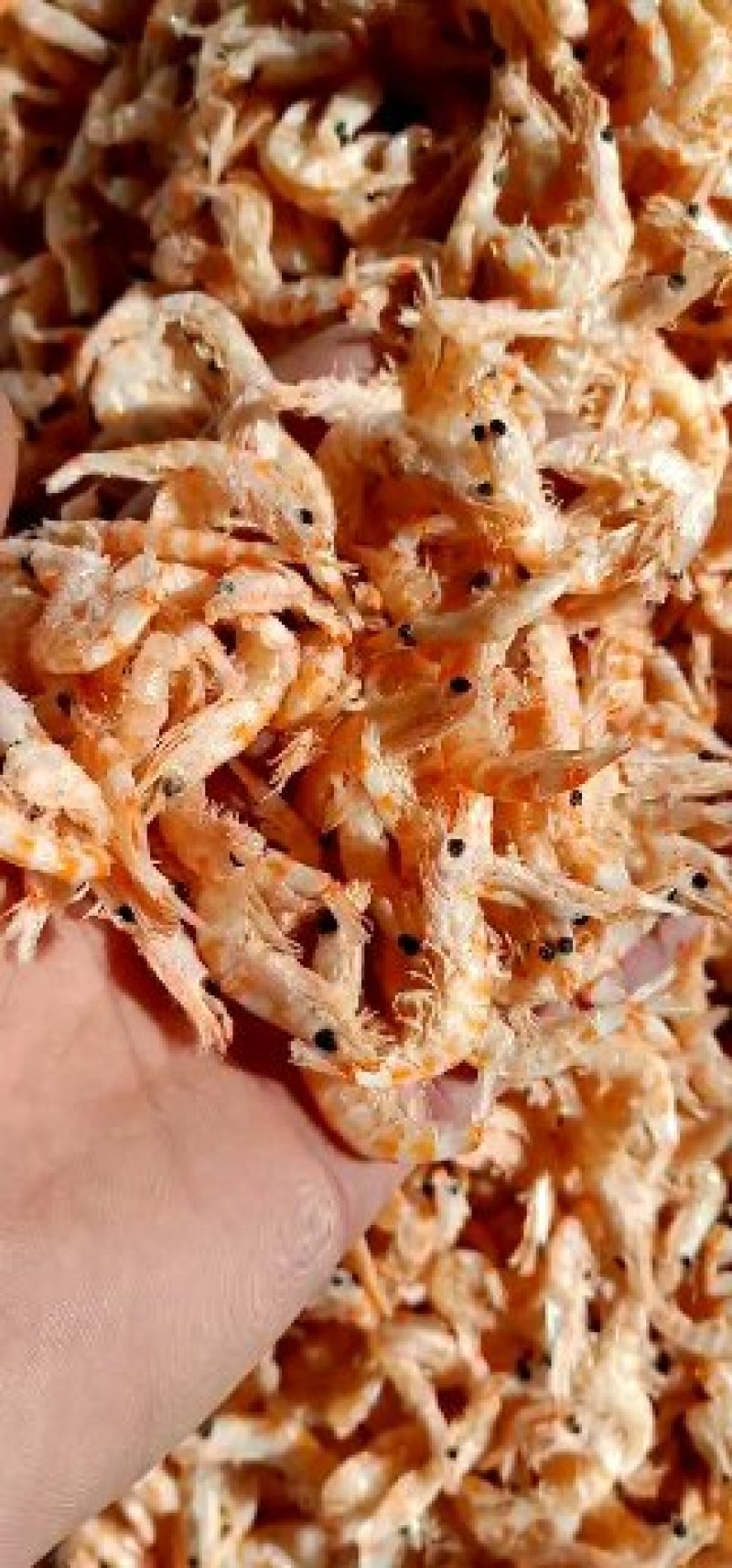 大号南极磷虾干一箱10斤